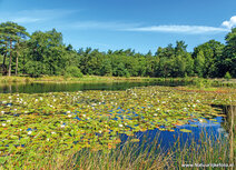 Fotografie workshop Hoogeveen