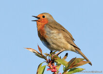 Fotografie workshop Assen