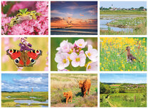 Natuur ansichtkaarten set Natuur ansichtkaarten set