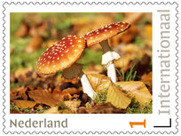 Postzegels 5 x Internationaal paddestoelen Postzegels 5 x Internationaal paddestoelen