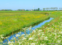 Fotografie workshop Friesland