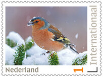 Postzegels 5 x Internationaal vink