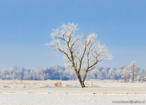Winter kaarten | ansichtkaart winters landschap