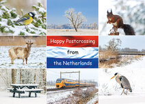 Postcrossing kaarten | Ansichtkaart Happy Postcrossing winter