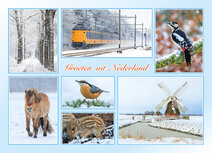 Postcrossing kaarten top 100 | ansichtkaart groeten uit Nederland winter
