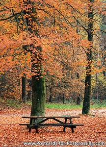 Ansichtkaart herfstbankje, Postcard autumn bench, Postkarte Herbst Bank