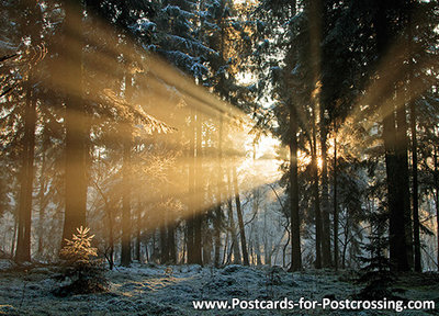 ansichtkaart zonsondergang Dwingelderveld, postcard sunset Dwingelderveld, Postkarte Sonnenuntergang Dwingelderveld