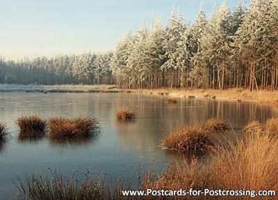 ansichtkaart winter Bakkeveen, postcard winter landscape Bakkeveen, Postkarte winter landschaft Bakkeveen