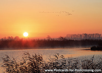 ansichtkaart zonsopkomst de Onlanden, postcard sunrise de Onlanden, Postkarte Sonnenaufgang de Onlanden