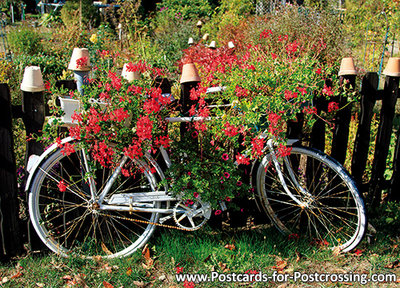 Ansichtkaart fiets - postkaart fiets - typisch Nederland