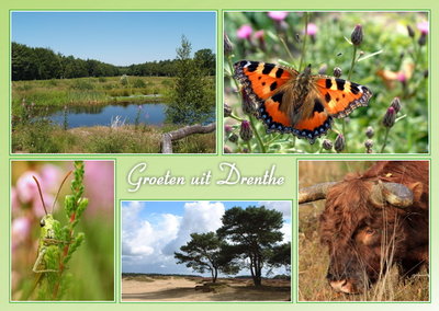 Ansichtkaart groeten uit Drenthe, Postcard greetings from Drenthe, Postkarte Grüße aus Drenthe