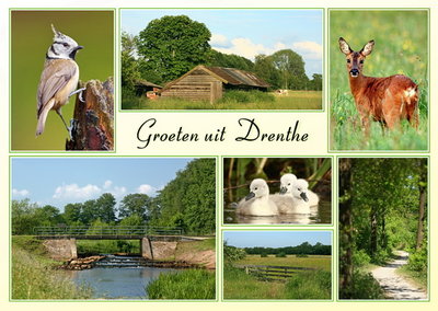 ansichtkaart landschappen Drenthe, Postcard landscapes Drenthe, Postkarte Landschaft Drenthe