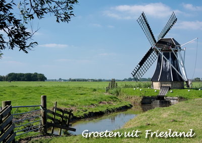 Ansichtkaart groeten uit Friesland, Postcard Friesland, Postkarte Friesland
