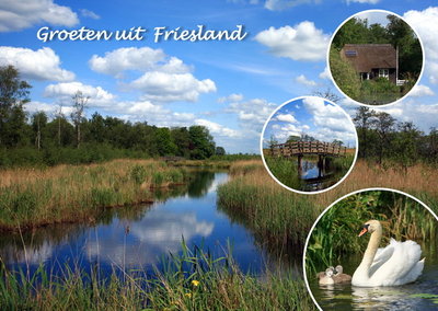 Ansichtkaart groeten uit Friesland, Postcard Friesland, Postkarte Friesland