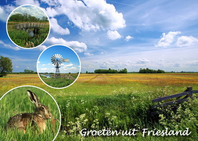 Ansichtkaart groeten uit Friesland, postcard, Friesland, Postkarte Friesland