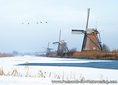 ansichtkaart molens van Kinderdijk