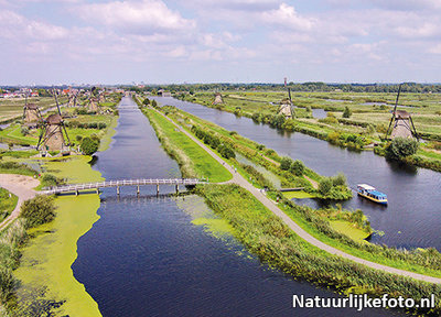 ansichtkaart molens van Kinderdijk