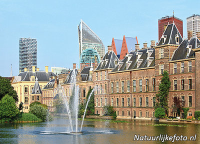 Ansichtkaart Den Haag Hofvijver en het Torentje - postcard The Hague - Postkarte ’s-Gravenhage