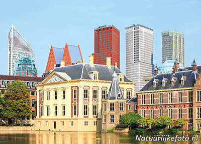 Ansichtkaart Den Haag Mauritshuis en Torentje - postcard The Hague - Postkarte ’s-Gravenhage