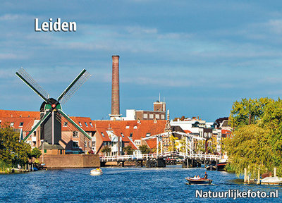 ansichtkaart Leiden Molen de Put, postcard Leiden, Postkarte Leiden