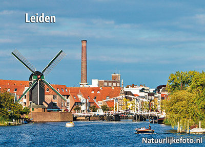 ansichtkaart Leiden Molen de Put, postcard Leiden, Postkarte Leiden