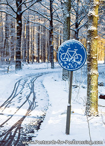 Ansichtkaart fietspad in de winter