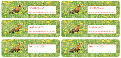 Postcard ID sticker Grutto