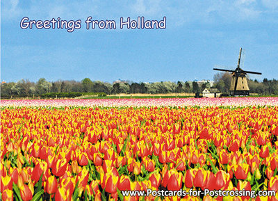 Greetings from Holland