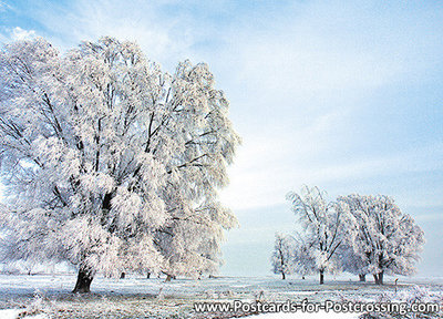 ansichtkaart winterslandschap in Lauwersmeergebied, postcard winterslandscape, Postkarte Winterlandschaft