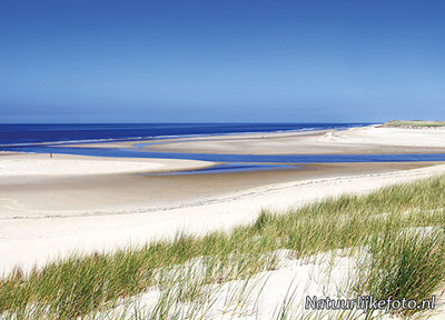 ansichtkaart de Slufter op Texel