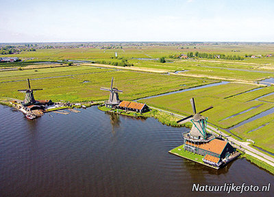 ansichtkaart de Zaanse Schans - Zaandam, mill postcard, Mühle Postkarte
