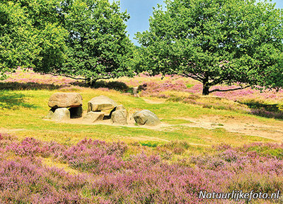 ansichtkaart hunnebed in Gasterse duinen