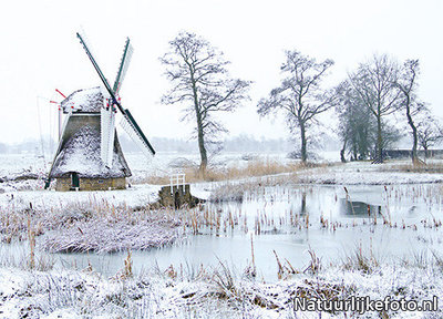 ansichtkaart winter Modelmolen Westendorp, postcard mill in winter, Postkarte Mühle im Winter