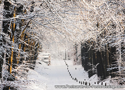 ansichtkaart winter laantje, postcard winter lane, Postkarte winter lane