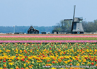 ansichtkaart molen O-T in 't Zand, mill postcard, Mühle Postkarte