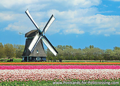 ansAnsichtkaart Poldermolen O-T, mill postcard, Mühle Postkarte