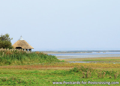 Ansichtkaart Lauwersmeer - Ezumakeeg