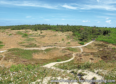 Ansichtkaart duinen van Texel , Postcard dunes of Texel, Postkarte Dünen von Texel