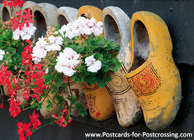 Klompen met geraniums ansichtkaart uit voorraad leverbaar