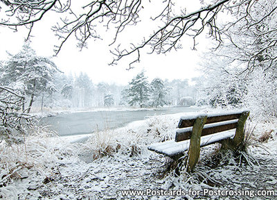 Ansichtkaart Freulevijver in winter - Wijnjewoude