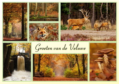 Ansichtkaart herfst op de Veluwe, Postcard autumn, Postkarte Herbst Veluwe