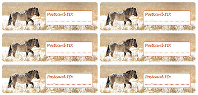 Postcrossing postcard ID stickers - 6x Konikpaard