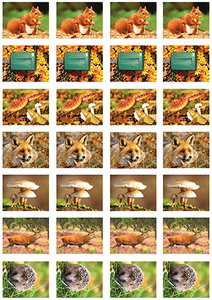 Beloningsstickers herfst
