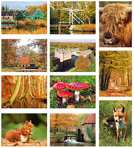 herfst kaartenset - Postcard set autumn - Postkarten set Herbst