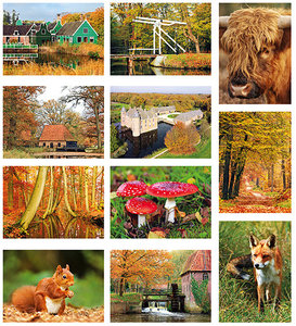 herfst kaartenset - Postcard set autumn - Postkarten set Herbst