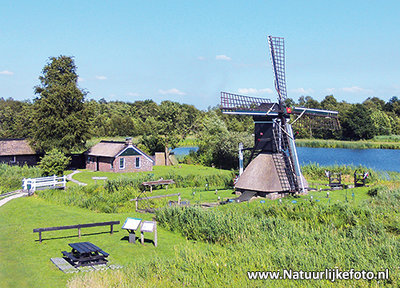 ansichtkaart Spinnekopmolen de Wicher in Kalenberg