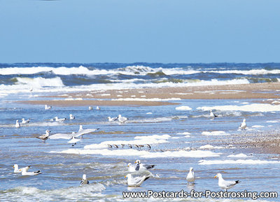 ansichtkaart strand en zee kaart - postcard beach and sea - postkarte Strand und meer