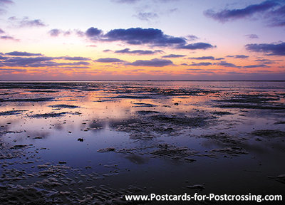 ansichtkaart Waddenzee - werelderfgoed