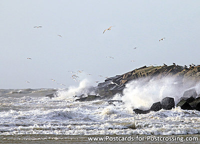 ansichtkaart strand van IJmuiden