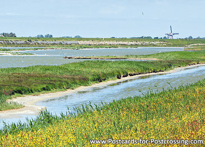 ansichtkaart het Wagejot  op Texel